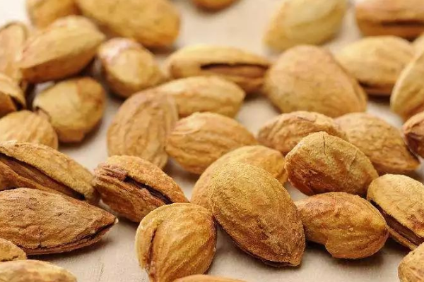 杏仁与巴旦木的区别