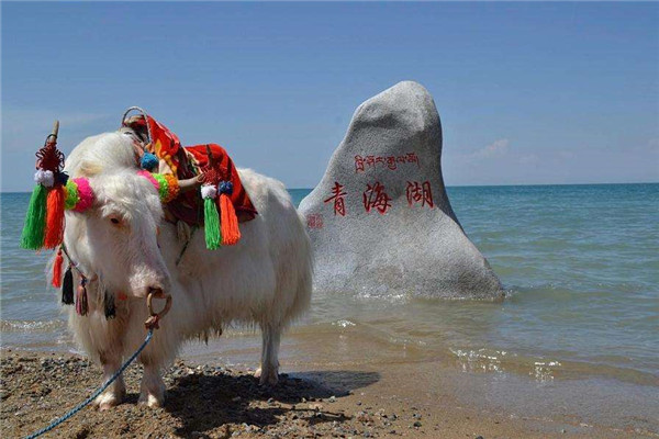 8月份去青海穿什么衣服