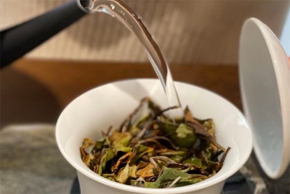 三白茶可以美白吗