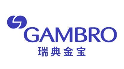 瑞典金宝