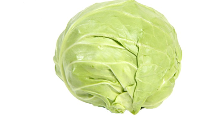 卷心菜
