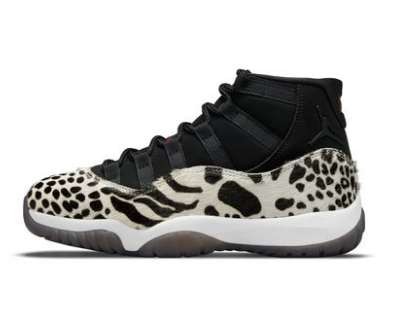 Air Jordan 11