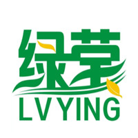 绿莹