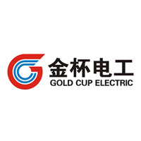 金杯电工