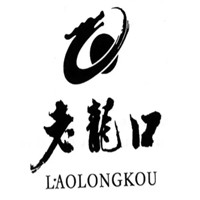 老龙口