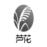 芦花/LUHUA