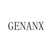 GENANX/闪电潮牌