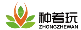 种着玩