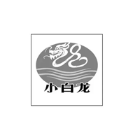 小白龙