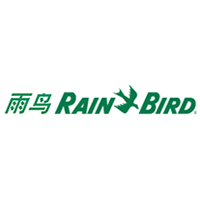雨鸟/RainBird