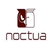 猫头鹰/Noctua