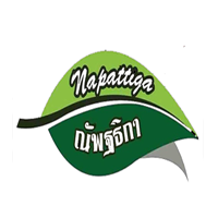 娜帕蒂卡/Napattiga