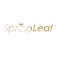 绿芙/Spring leaf