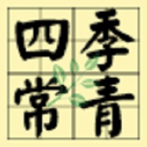 伞塔牌