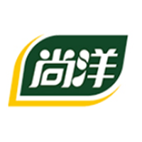 尚洋
