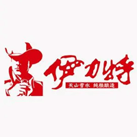 伊力王