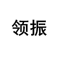 领振/LINGZHEN