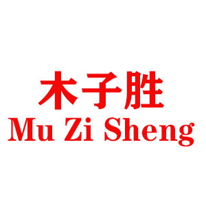 木子胜/MUZISHENG