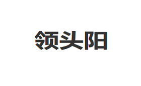 领头阳