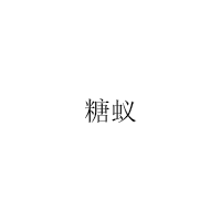 糖蚁