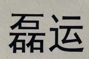 磊运