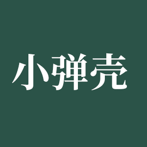 小弹壳