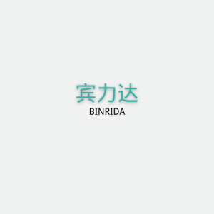 宾力达/BINLIDA