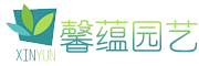 馨蕴