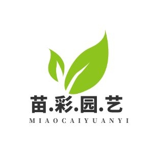苗彩