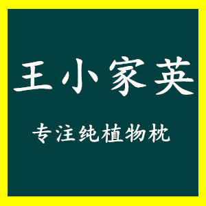 王小家英