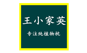 王小家英