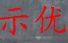示优