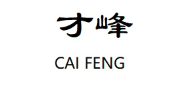 才峰/CAIFENG