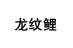 龙纹鲤
