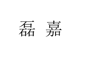 磊嘉