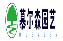 慕尔森