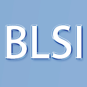 啵丽斯/BLSI