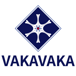 哇咔哇咔/VAKAVAKA