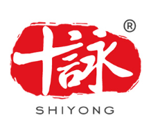 十咏