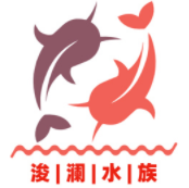 浚澜
