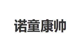 诺童康帅
