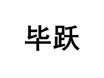 毕跃/BIYUE