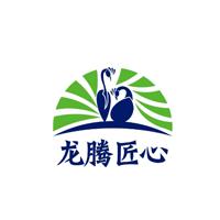 龙腾匠心