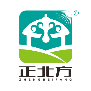 正北方