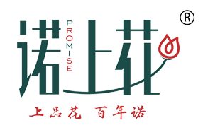 诺上花