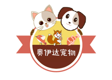 奥伊达