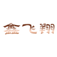 鑫飞翔