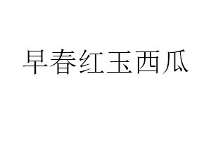早春红玉西瓜