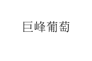 巨峰葡萄