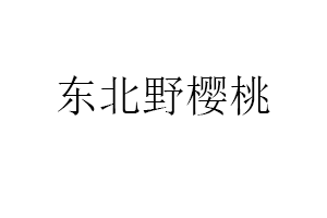 东北野樱桃